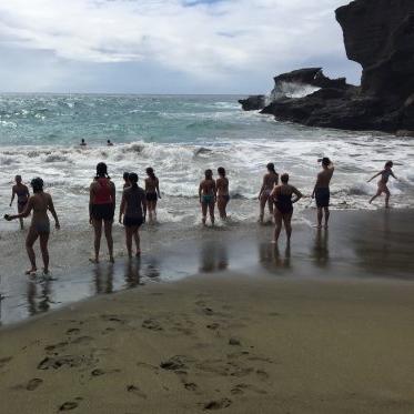 一群学生面朝海浪站在海滩边上. 